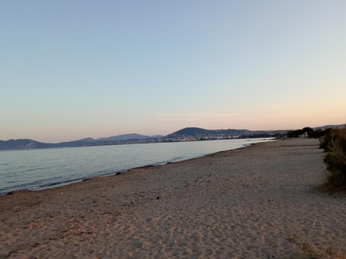 아르테미다 Flat With Garden Near Sea, Port And Airport 아파트 외부 사진